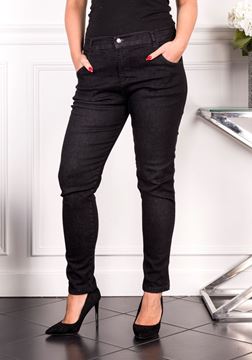 Immagine di PLUS SIZE CLASSIC STRETCH  JEAN